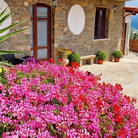 Pietra Del Colle Agriturismo Altavilla Silentina Exterior photo